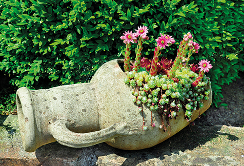  JARRE CAP BON code EAN 3423753201819 