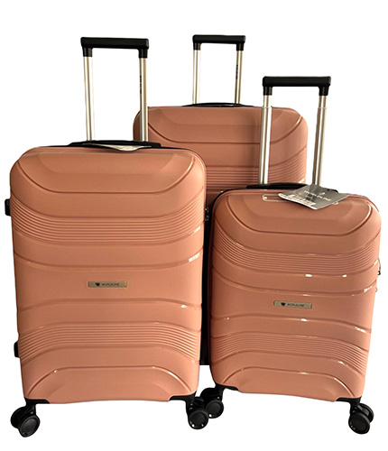  VALISE code EAN 3438159922879 