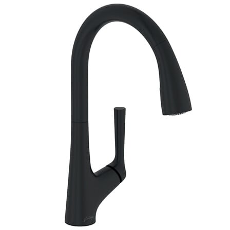 Robinet de cuisine Forte avec douchette extract...