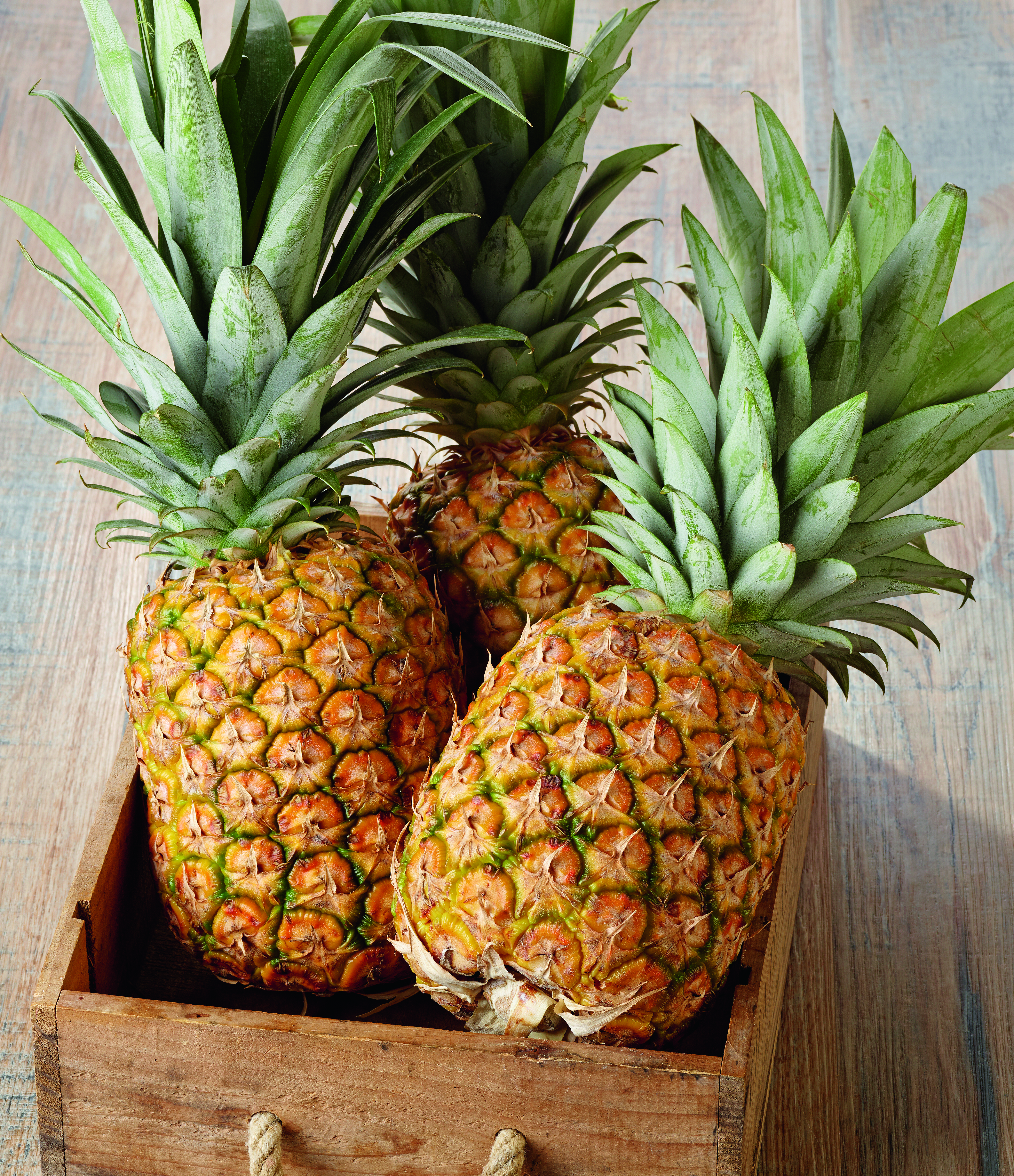 ANANAS 3444445619004 