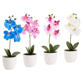  Orchidées pot H. 36 cm  Blanc / Bleu / Rose code EAN 3448741797006 