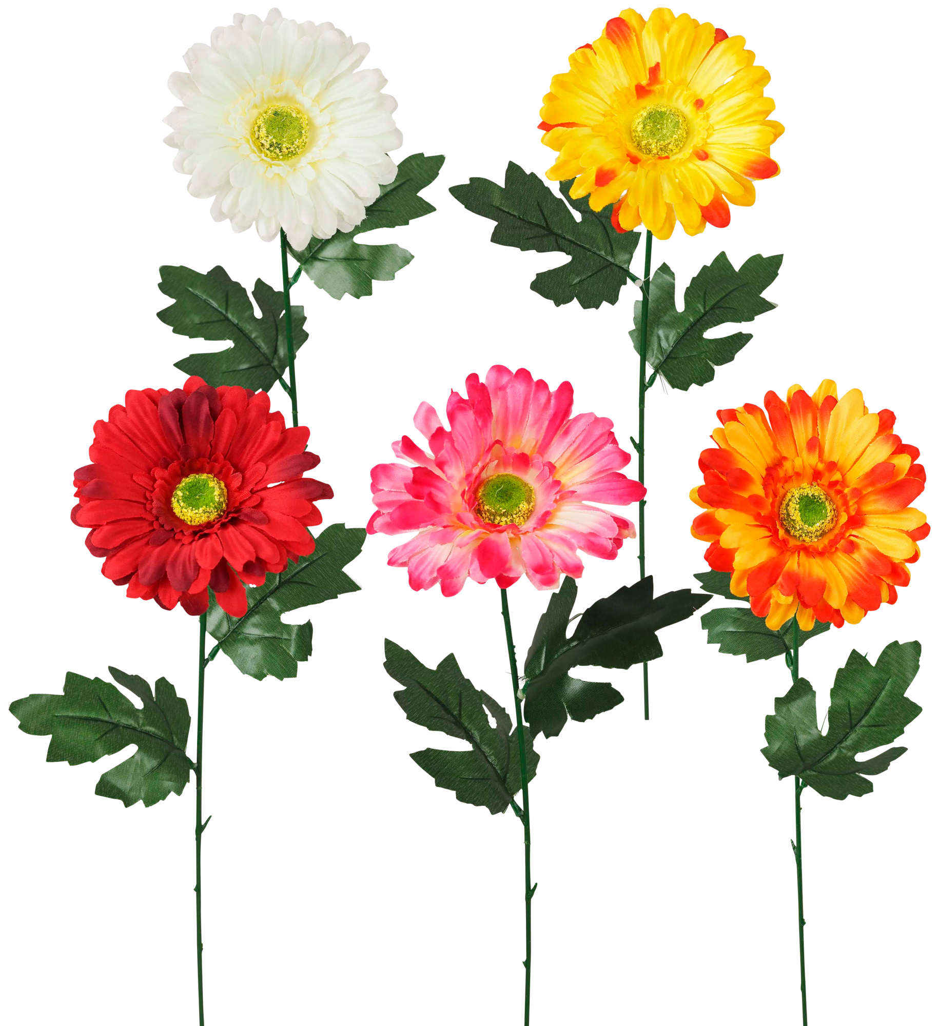  TIGE DE GERBERAS code EAN 3448747723108 