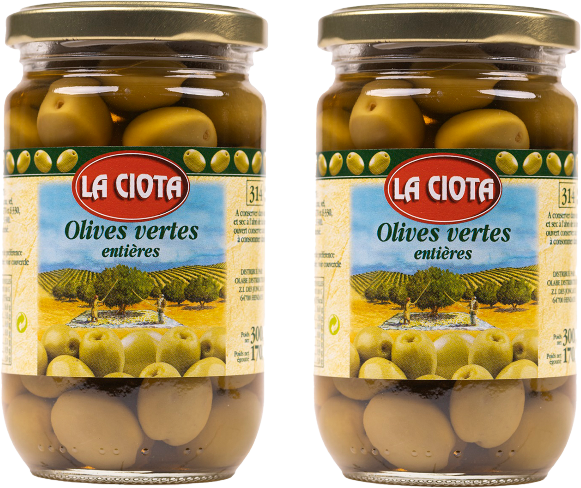 OLIVES VERTES