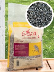 TOURNESOL PETIT STRIÉ 