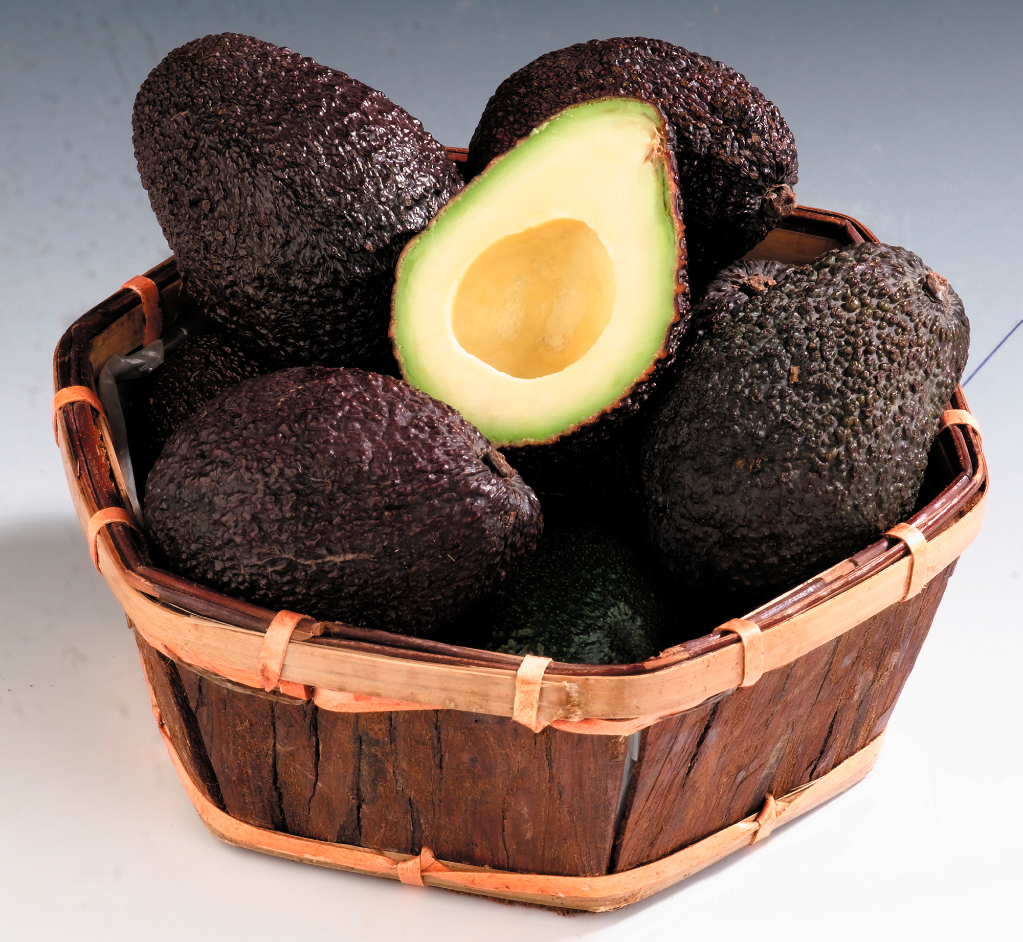 AVOCATS 3450970049955 ECO+