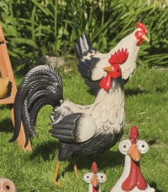 COQ OU POULE 3459223428967 (3459223428967)