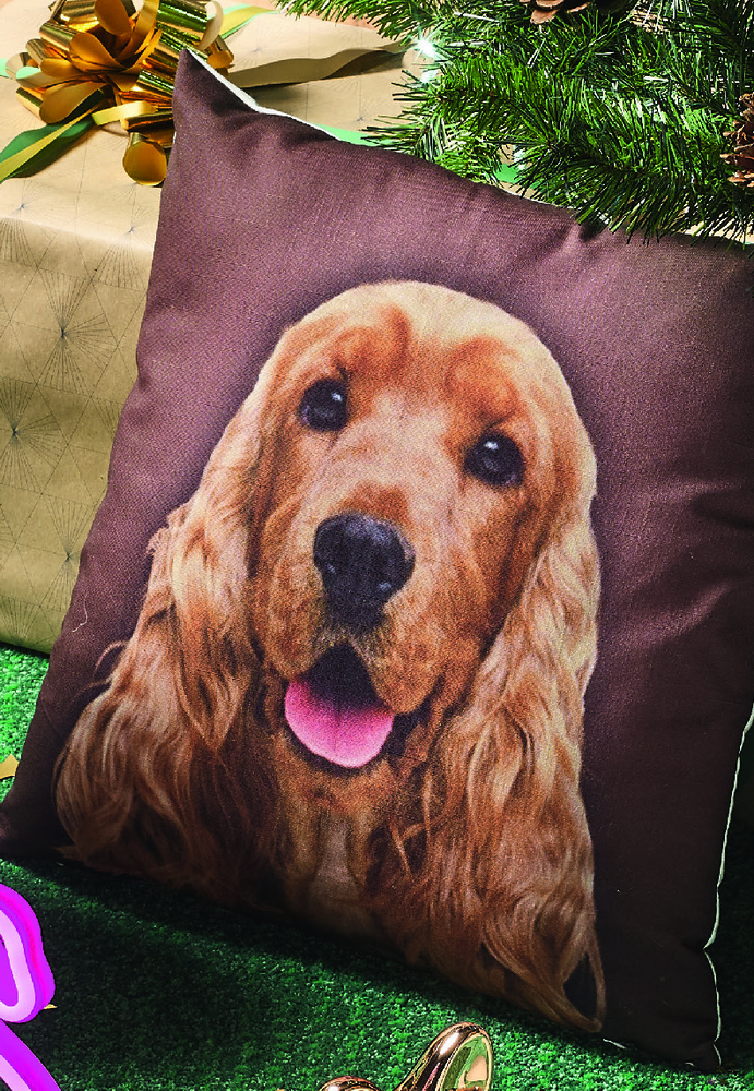 COUSSIN ANIMAUX 3459223542533 (3459223542533)