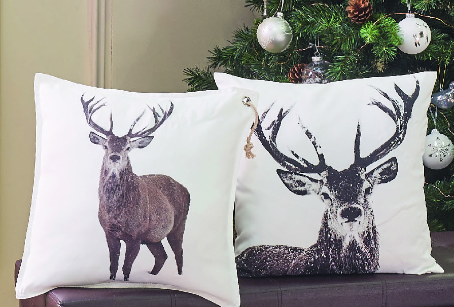 COUSSIN CERF 3459223542960 (3459223542960)