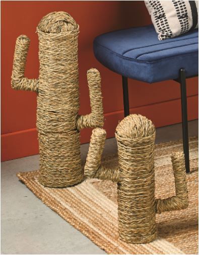 CACTUS DÉCORATIF 3459223553911 (3459223553911)