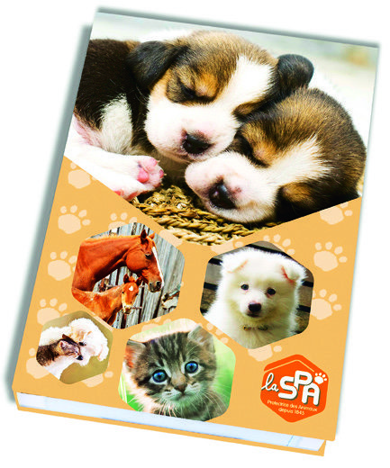 AGENDA S.P.A 3459223560285 (3459223560285)