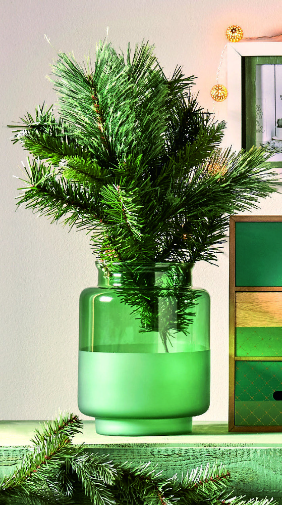  VASE code EAN 3459223562241 