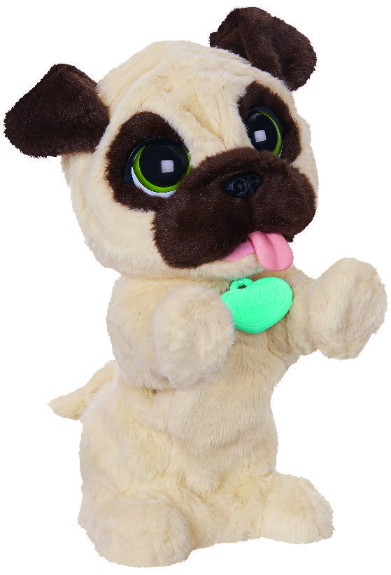 MON CHIEN J.J. 3459223564825 furreal2020 MON CHIEN J.J. 3459223564825 furreal2020