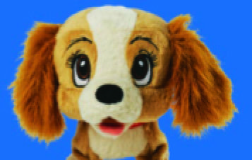 PATCH OU BELLE MARCHE AVEC MOI !