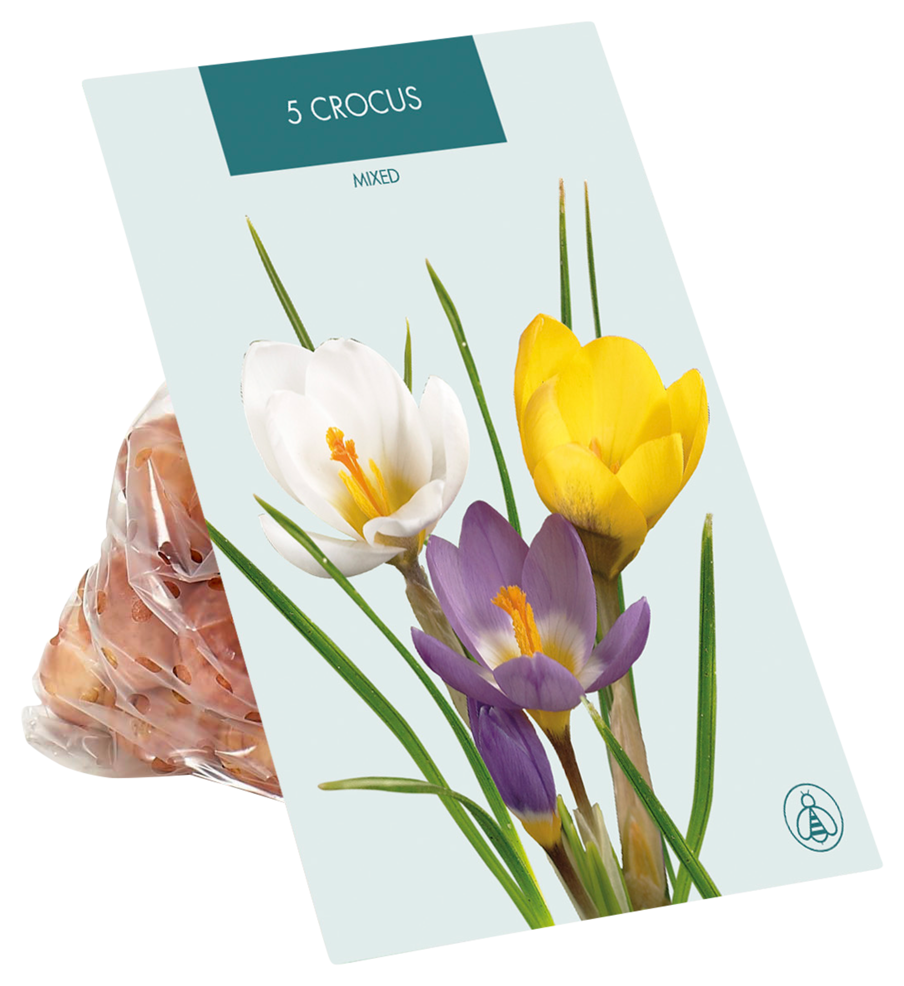  BULBES À FLEURS code EAN 3459223818010 