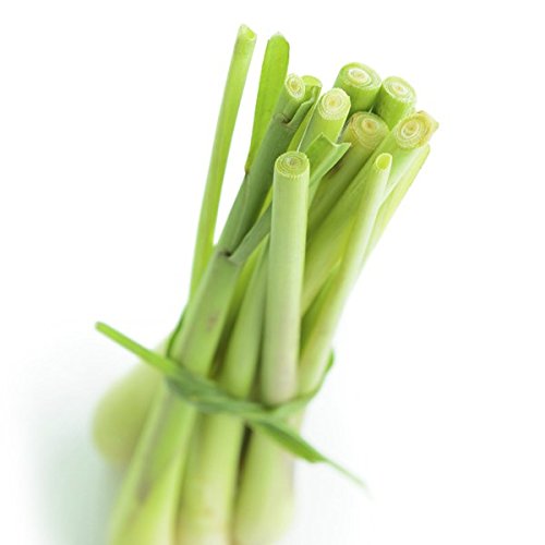 Flacon 27ml parfum liquide pour bougie et savon...