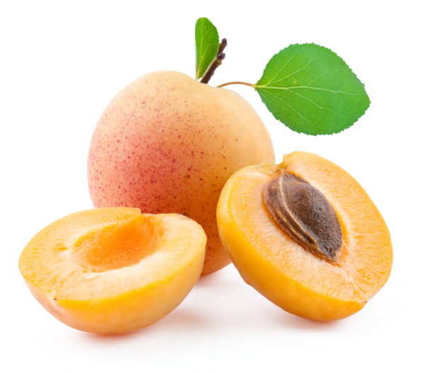  Abricots Sélection code EAN 3476580000100 