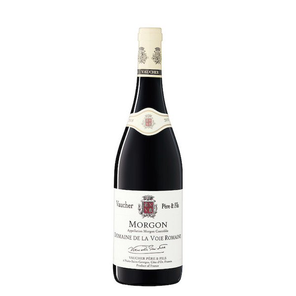 MORGON 3477600306837 