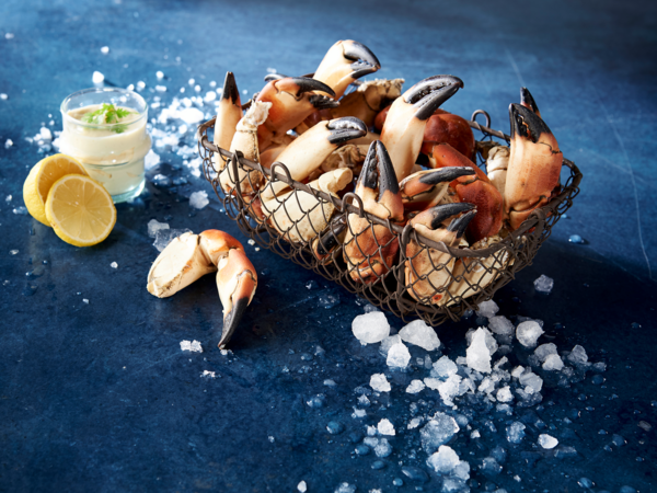 SANS MARQUE Pinces De Tourteaux Cuites code EAN 3478050870053 