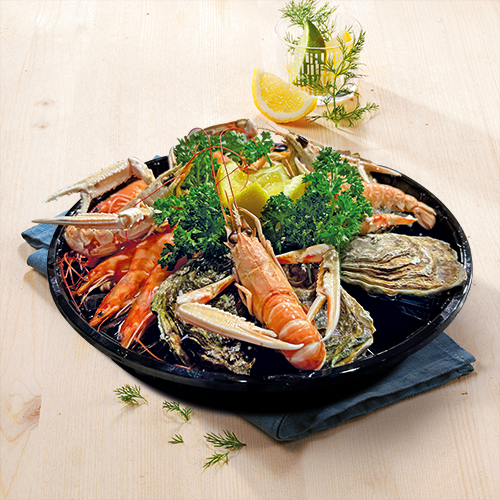  PLATEAU NEPTUNE code EAN 3478920002638 