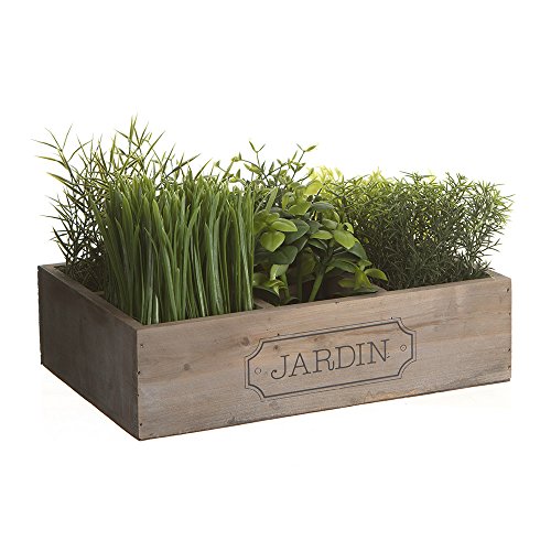 Cagette de plantes vertes 