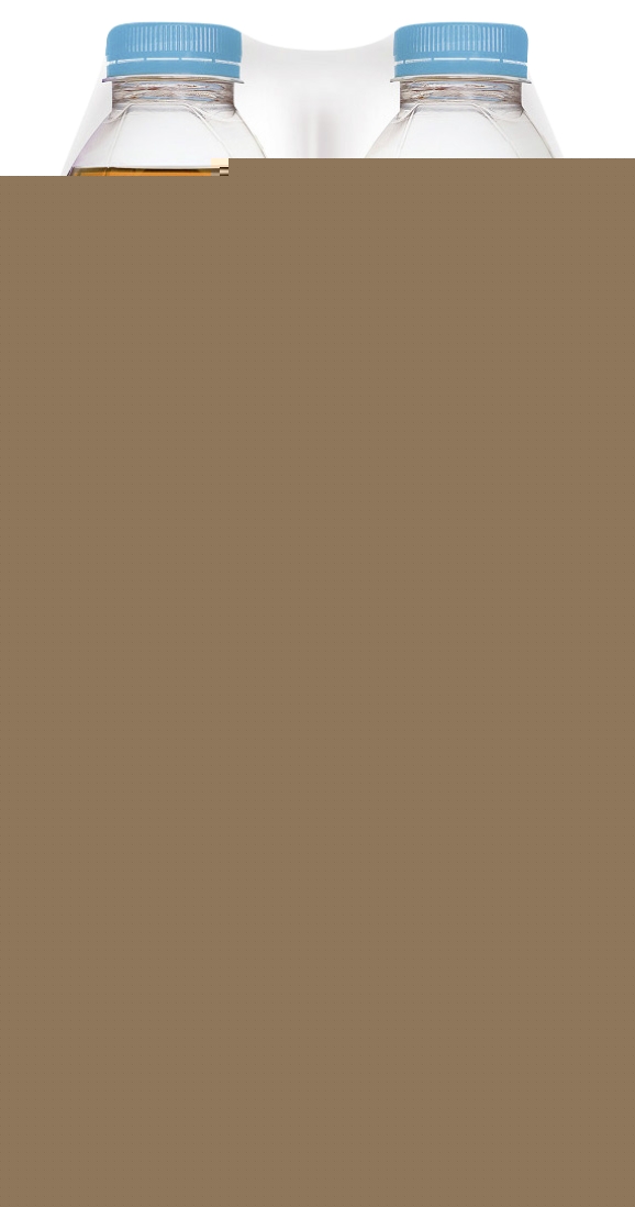 Boisson au thé pêche zéro Lipton