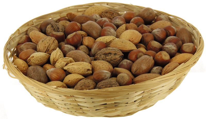 THEO 4 COQUES 900G MAITRE PRUNILLE