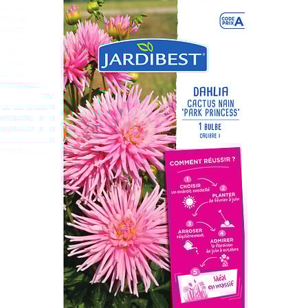 dahlia park princess