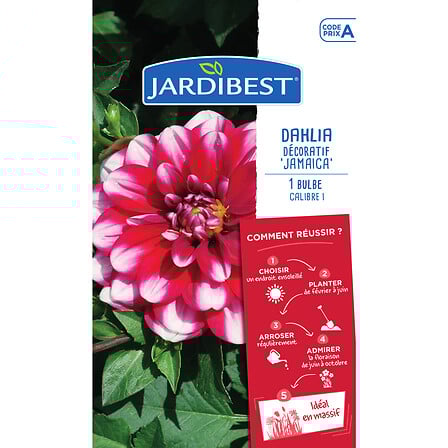 JARDIBEST dahlia jamaica code EAN 3505390981719 