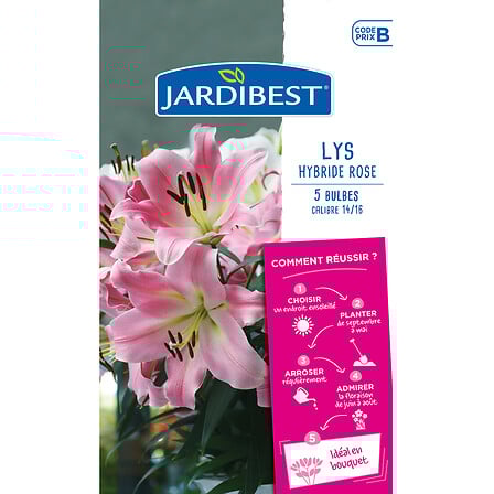 JARDIBEST lis rose code EAN 3505390981849 