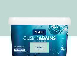 Peinture Cuisine et Bains - Menthe à l'eau - 2L