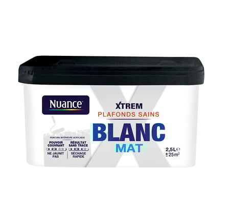 NUANCE Peinture XTREM Plafonds sains - Blanc - ...