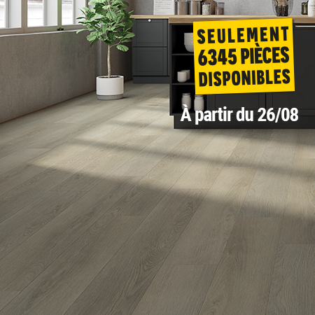 SOL VINYLE ULTRA CLIC 30