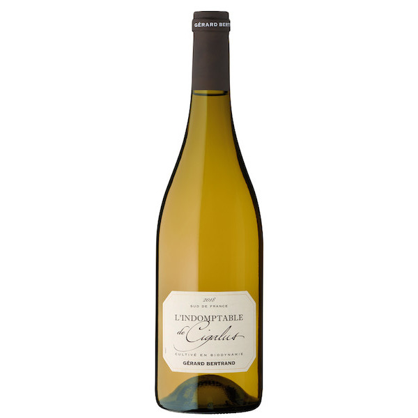 L'Indomptable de Cigalus