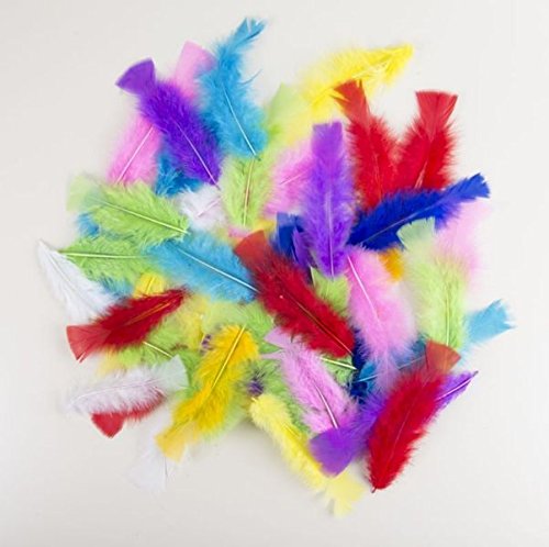 P'TIT CLOWN 14515 Sachet de 50 Plumes 8-12 cm -...