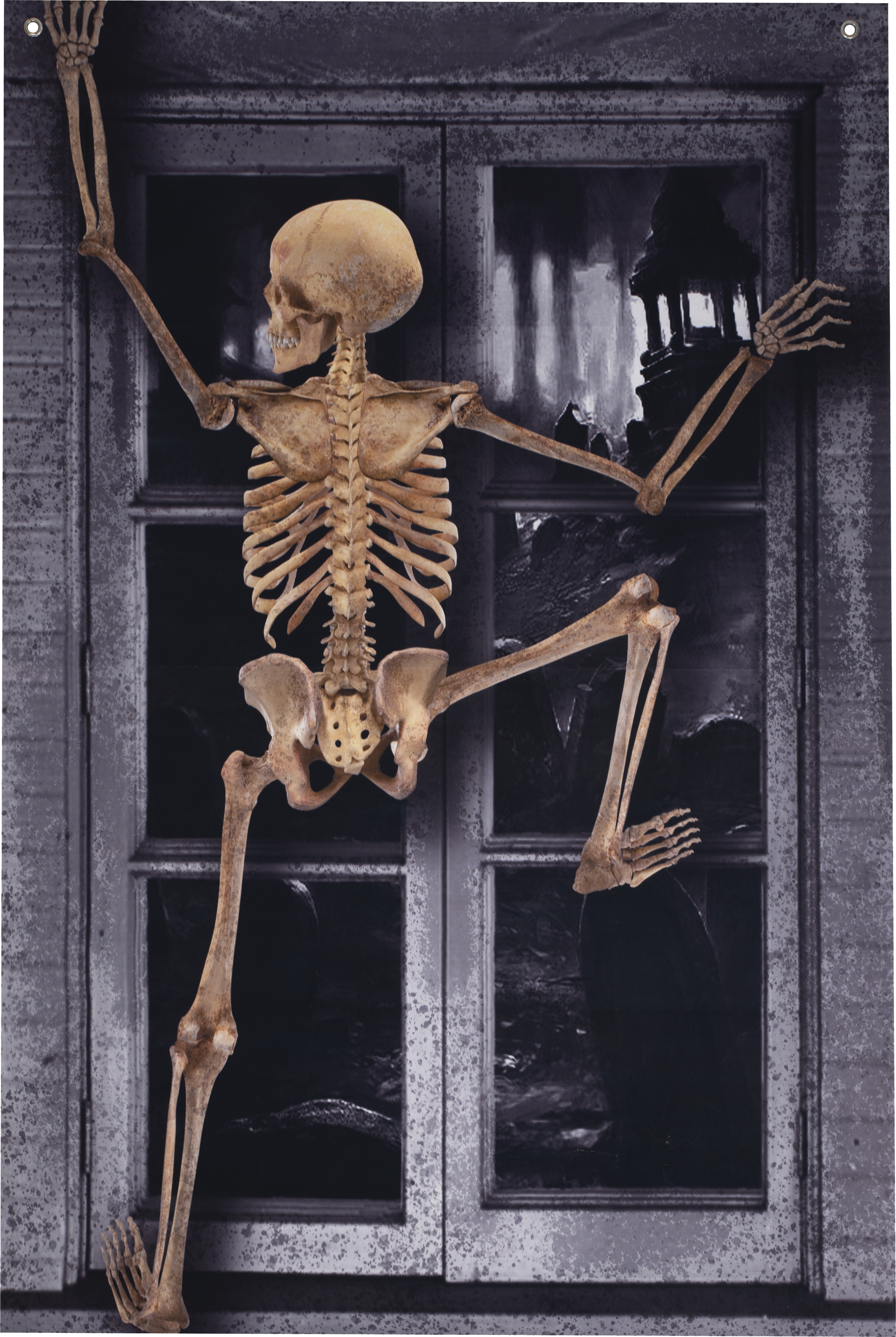  DÉCOR DE FENÊTRE code EAN 3523160229939 