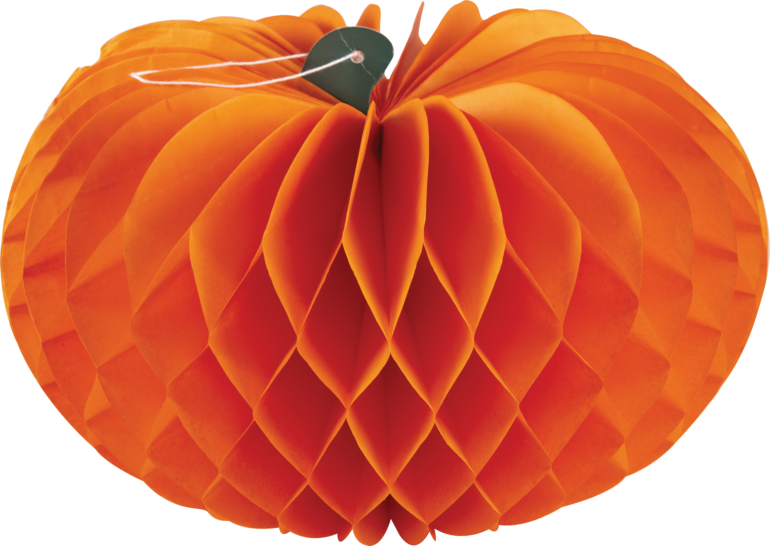  CITROUILLE ALVÉOLÉE code EAN 3523160231505 