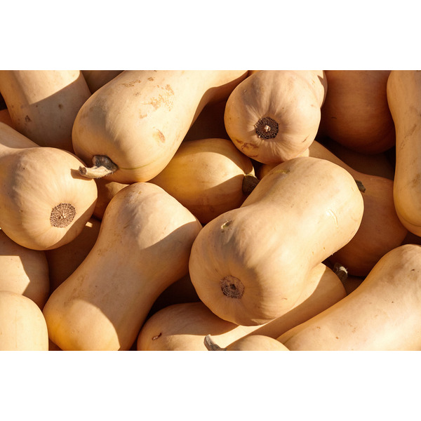 Butternut CARREFOUR BIO 3523680240001 