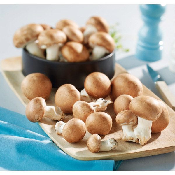 CHAMPIGNONS BLANCS ET BRUNS CARREFOUR BIO 3523680256637 (3523680256637)