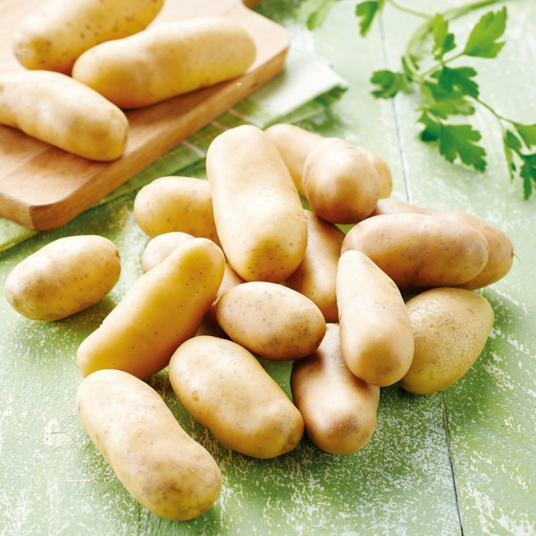 POMMES DE TERRE DÉLICATESSE DE LA DRÔME REFLETS DE France 3523680265455 