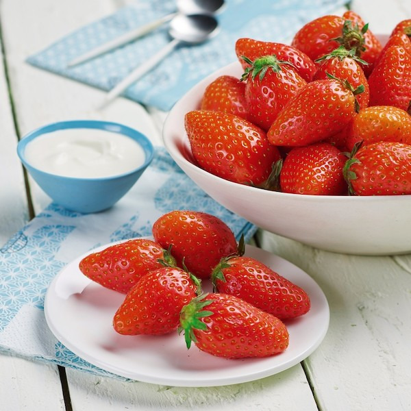 Fraise Ciflorette 3523680265578 (3523680265578)