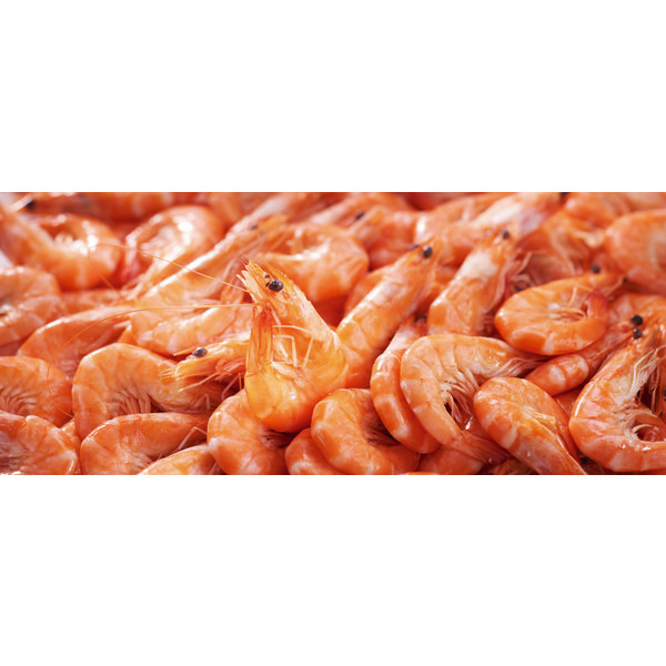 Crevette rose cuite 3523680287365 (3523680287365)