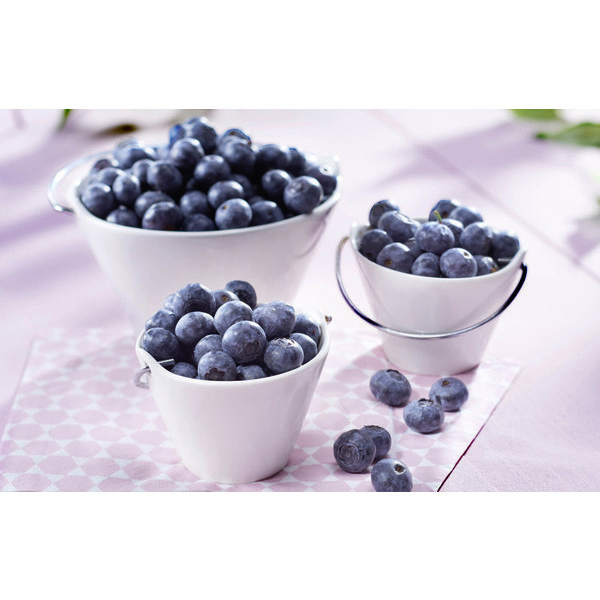 Myrtille 3523680287846 