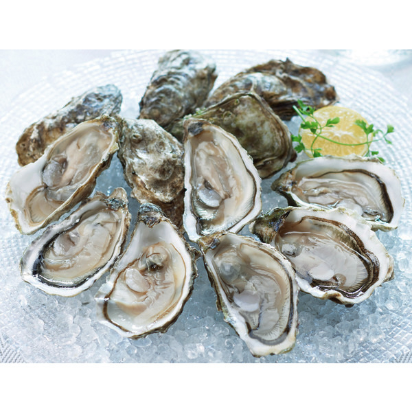 Huîtres Normande Ouest FILIÈRE QUALITÉ CARREFOUR