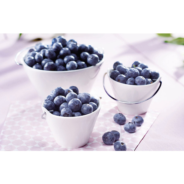 MYRTILLES 3523680288546 