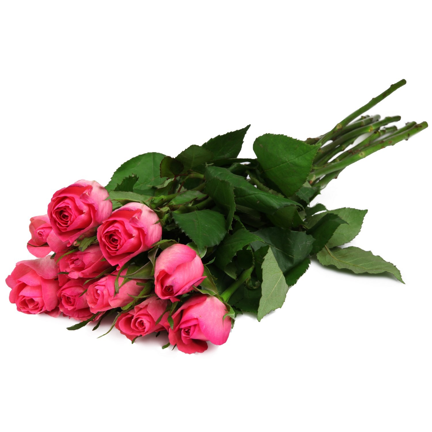 Fleurs roses 50 cm coloris assortis CARREFOUR