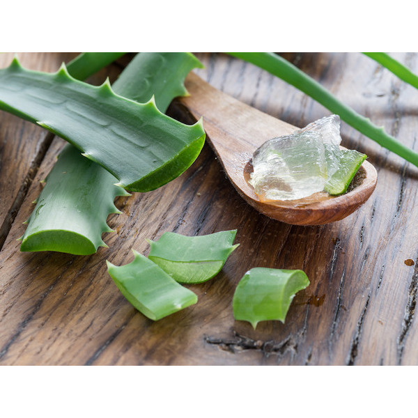 Feuille d'Aloe Vera Bio 3523680367043 (3523680367043)