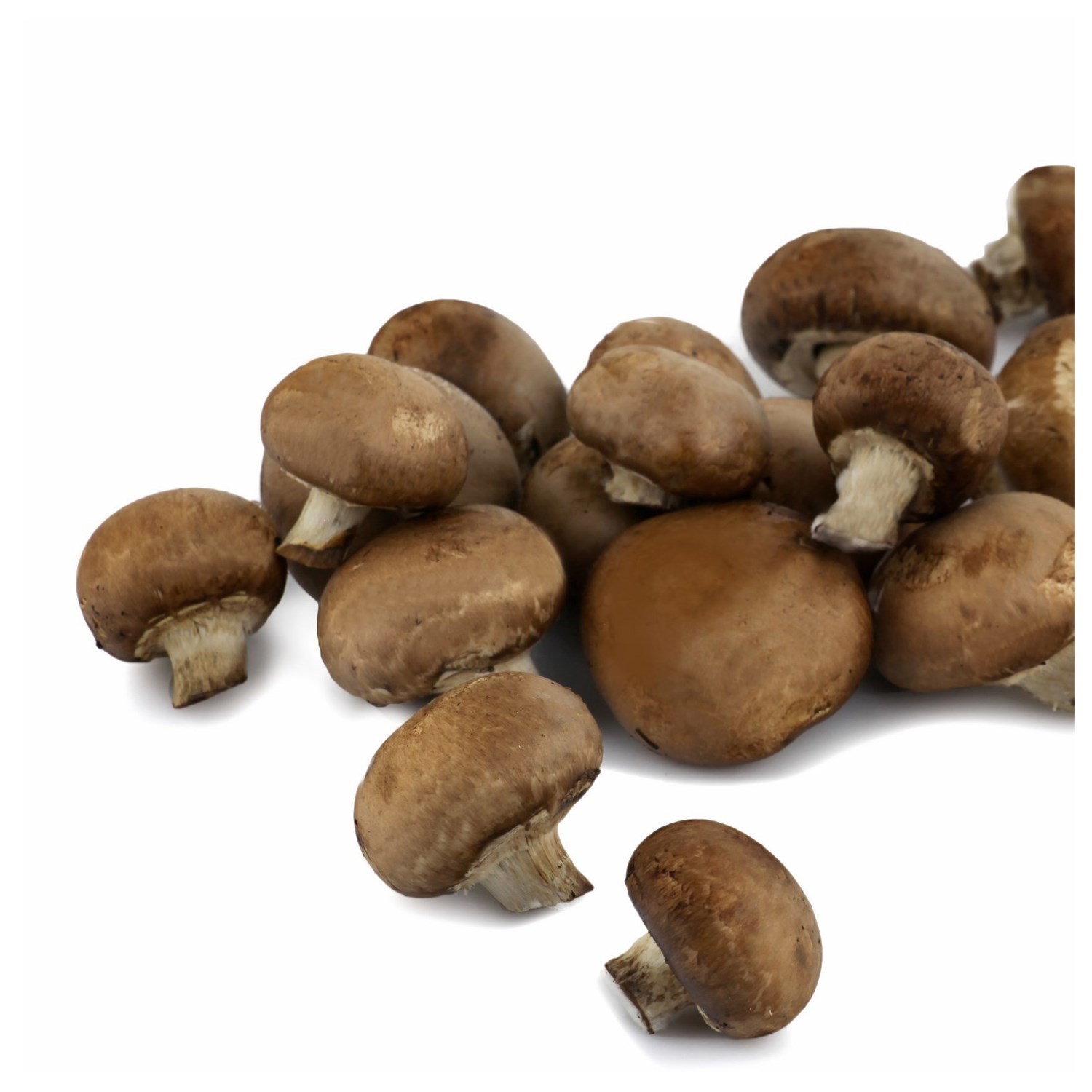 Champignons blond Paris FILIERE QUALITE CARREFOUR