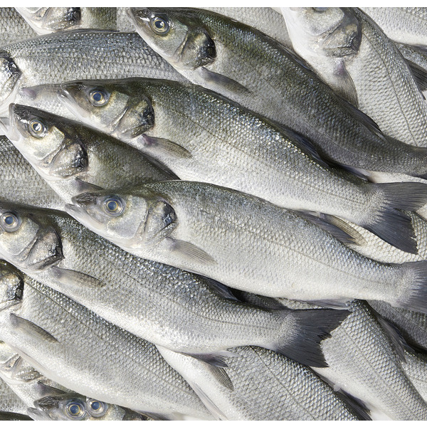  Bar d'élevage  code EAN 3523680398702 