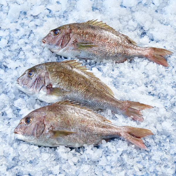  Pagre d'élevage code EAN 3523680411609 