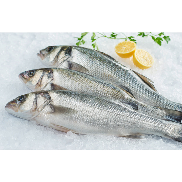 Bar d'élevage FILIÈRE QUALITÉ CARREFOUR 3523680426955 